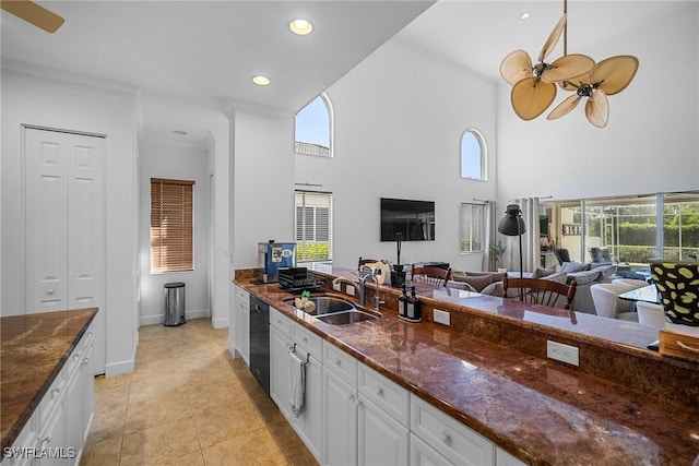kitchen with ceiling fan, a sink, and plenty of natural light