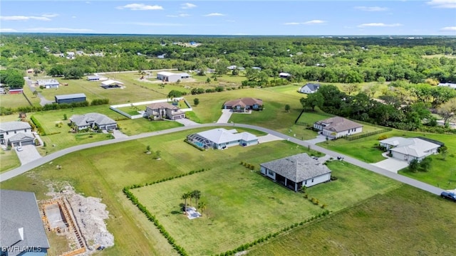 14190 Binghampton Dr, Fort Myers, FL 33905 - aerial perspective of suburban area