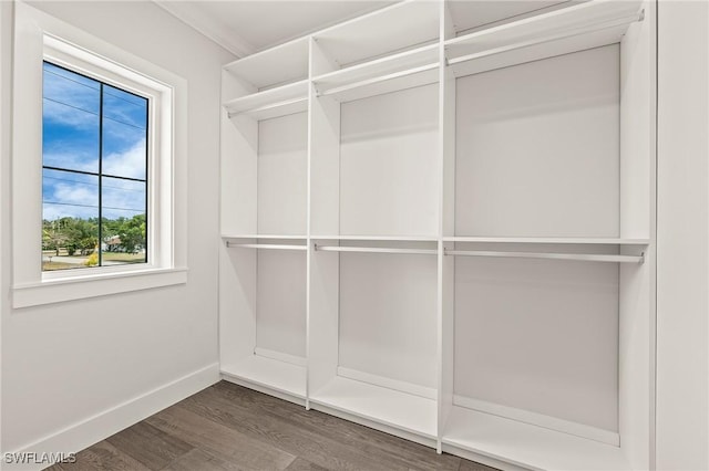 1136 Trail Terrace Dr, Naples, FL 34103 - spacious closet with wood finished floors