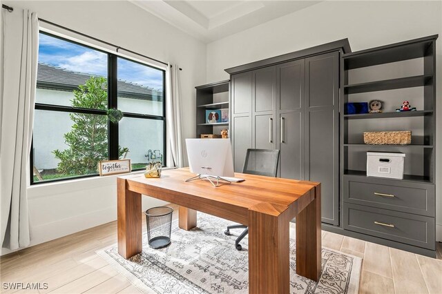 office area featuring light wood finished floors and a healthy amount of sunlight