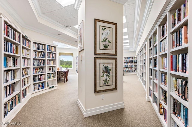 corridor with a raised ceiling, baseboards, ornamental molding, and carpet floors