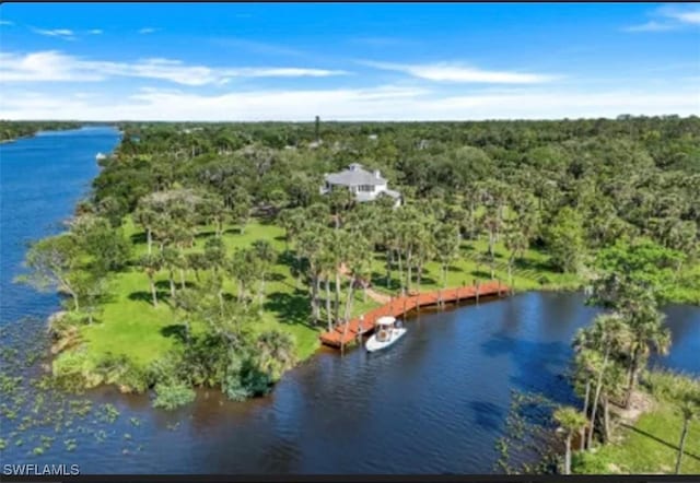 drone / aerial view featuring a forest view and a water view