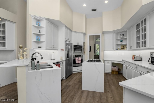 3370 Oaklake Ct, Bonita Springs, FL 34134 - kitchen with a sink, appliances with stainless steel finishes, open shelves, and a peninsula