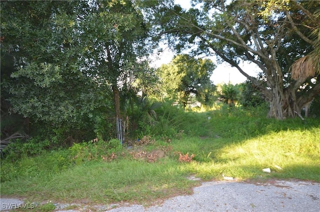 3341 Willard St, Fort Myers, FL 33916 - view of nature