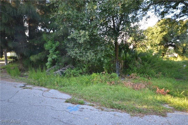 3341 Willard St, Fort Myers, FL 33916 - view of street