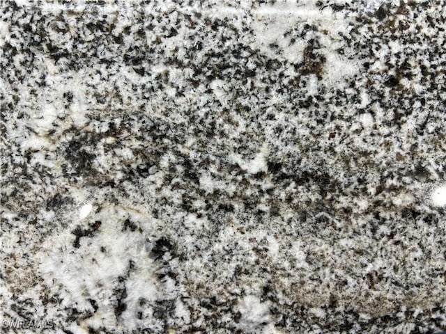 view of details
