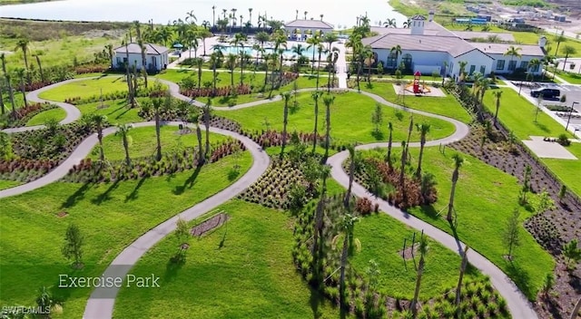 bird's eye view