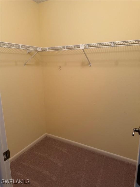 4628 SW 18th Ave, Cape Coral, FL 33914 - spacious closet featuring dark colored carpet