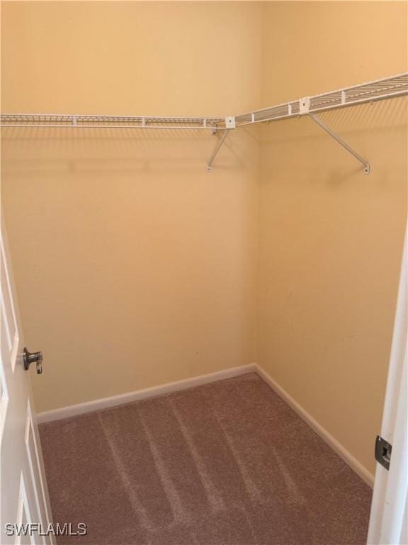 4628 SW 18th Ave, Cape Coral, FL 33914 - spacious closet with carpet floors