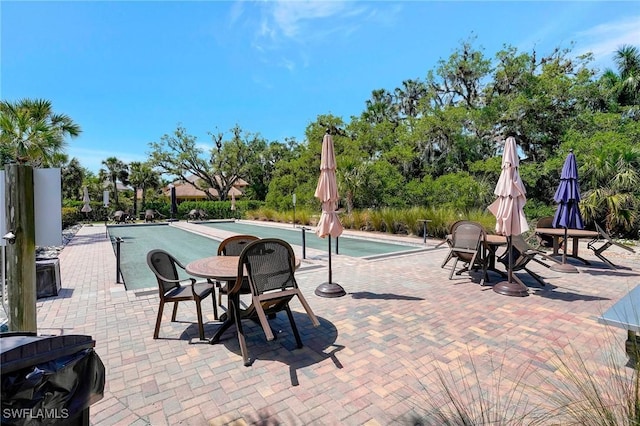 view of swimming pool featuring a patio