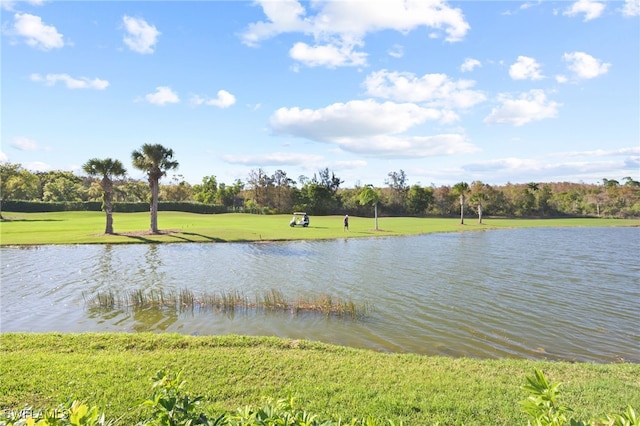 property view of water