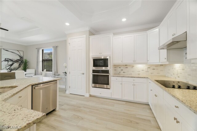 28091 Foxrock Ct, Bonita Springs, FL 34135 - kitchen with under cabinet range hood, a raised ceiling, ornamental molding, and appliances with stainless steel finishes