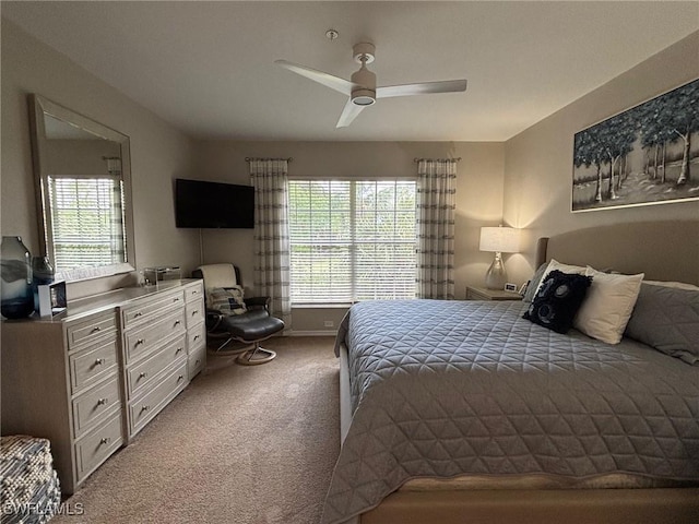 8125 Celeste Dr Unit 5213, Naples, FL 34113 - bedroom with carpet flooring, a ceiling fan, and multiple windows