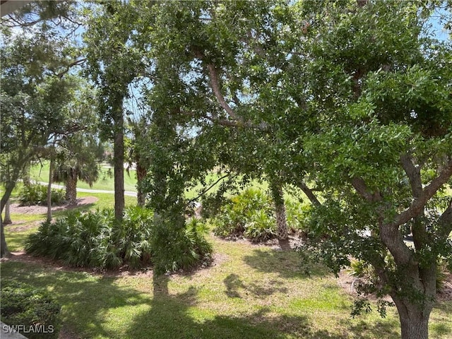 8125 Celeste Dr Unit 5213, Naples, FL 34113 - view of yard