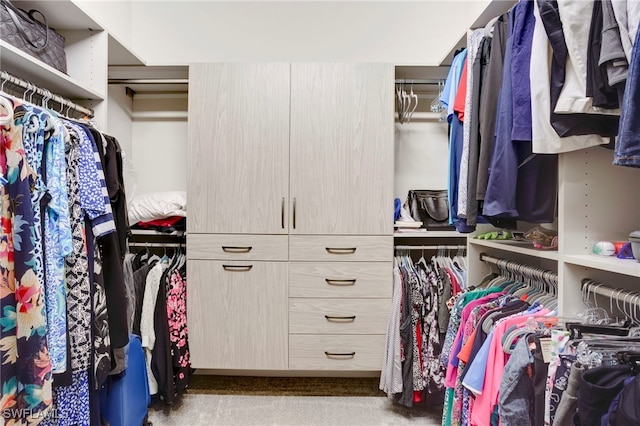 11607 Periwinkle Dr, Naples, FL 34120 - walk in closet featuring carpet floors