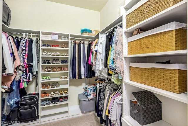 view of spacious closet