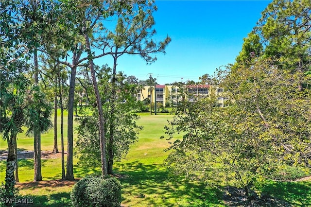 view of home's community with a yard