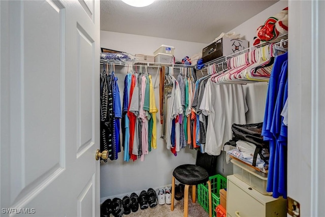 view of walk in closet
