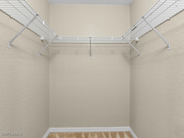 3904 SW 20th Ave, Cape Coral, FL 33914 - spacious closet featuring carpet flooring