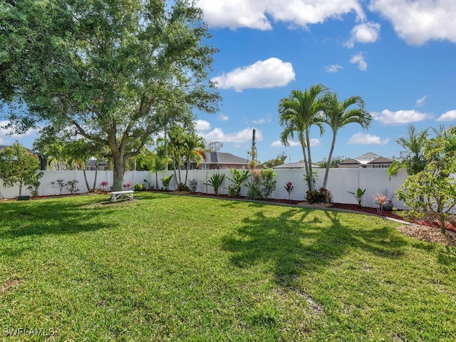 3904 SW 20th Ave, Cape Coral, FL 33914 - view of yard featuring a fenced backyard