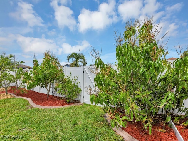 3904 SW 20th Ave, Cape Coral, FL 33914 - view of yard with a gate and fence