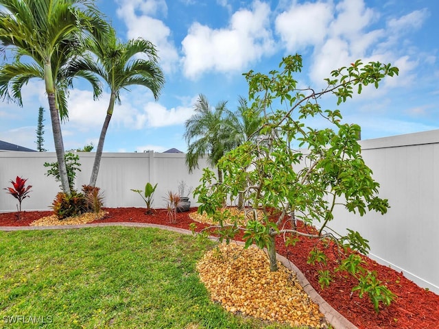 3904 SW 20th Ave, Cape Coral, FL 33914 - view of yard with fence