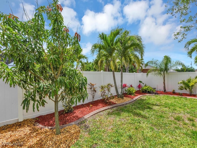 3904 SW 20th Ave, Cape Coral, FL 33914 - view of yard with a fenced backyard