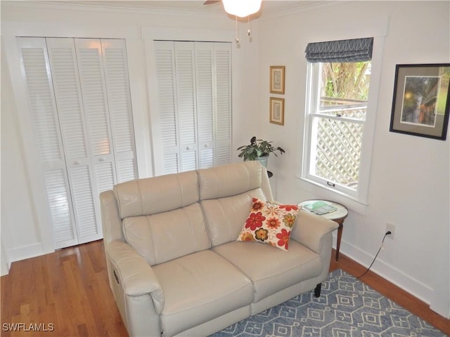 living room featuring baseboards, plenty of natural light, and wood finished floors