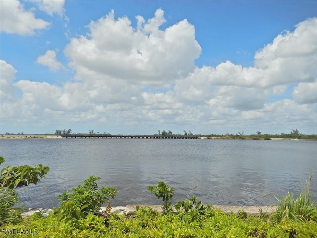 property view of water