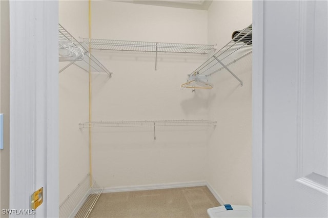 4834 Hampshire Ct Unit 207, Naples, FL 34112 - spacious closet featuring light carpet