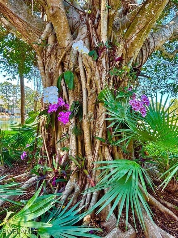 1220 Sarah Jean Cir Unit L103, Naples, FL 34110 - view of undeveloped land