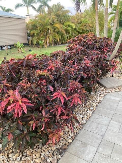 10309 Fire Flag Trl, Fort Myers, FL 33905