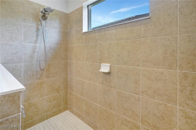 2967 Amblewind Dr, Fort Myers, FL 33905 - full bathroom with tiled shower