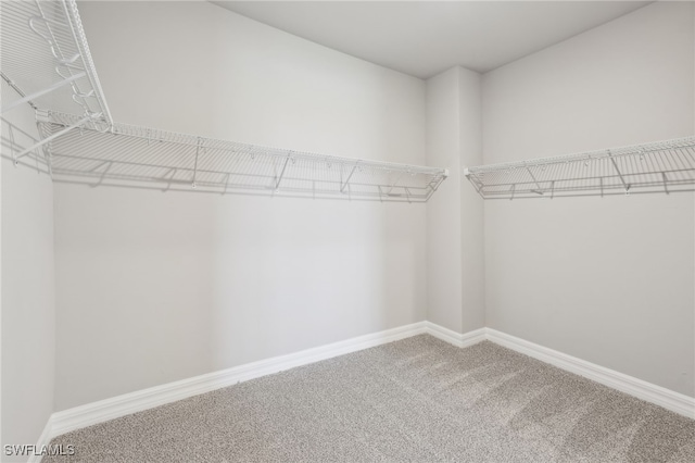 44385 Frontier Dr, Punta Gorda, FL 33982 - spacious closet featuring carpet flooring