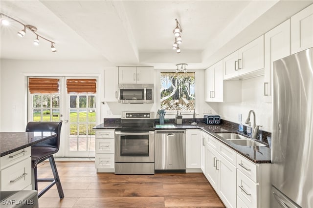 kitchen featuring stainless steel appliances, plenty of natural light, a sink, and track lighting