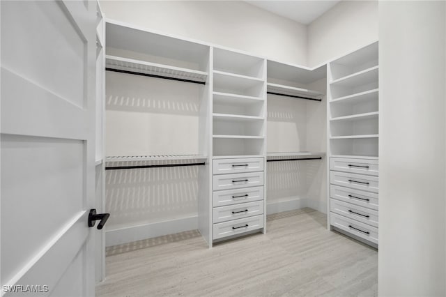 127 SW 56th Ter, Cape Coral, FL 33914 - walk in closet with light wood-type flooring