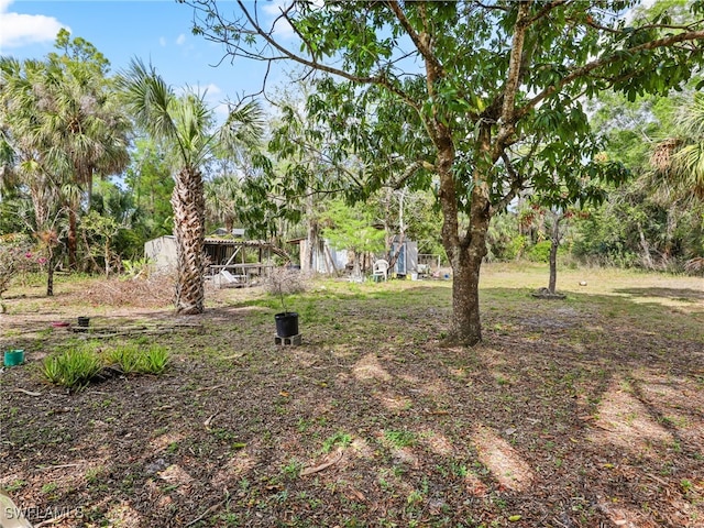 view of yard