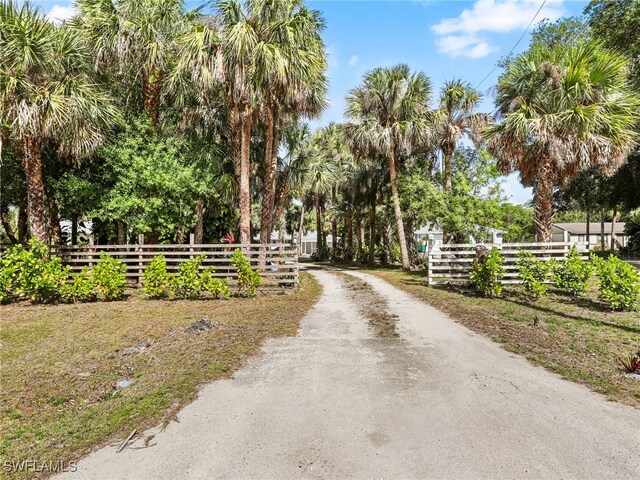 view of street featuring dirt driveway