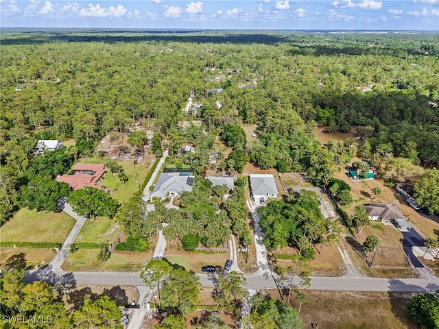 bird's eye view with a forest view