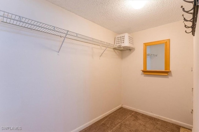 232 Pebble Beach Cir Unit E104, Naples, FL 34113 - walk in closet featuring carpet floors