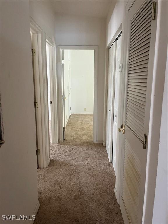 901 Thatcher Blvd, Moore Haven, FL 33471 - hallway with carpet