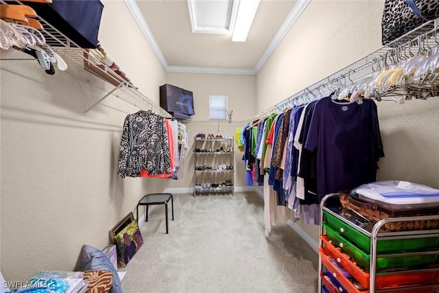 3536 Cherry Blossom Ct Unit 201, Estero, FL 33928 - spacious closet with carpet floors