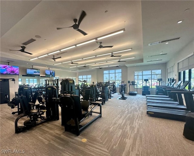 workout area with a wealth of natural light, carpet flooring, and visible vents