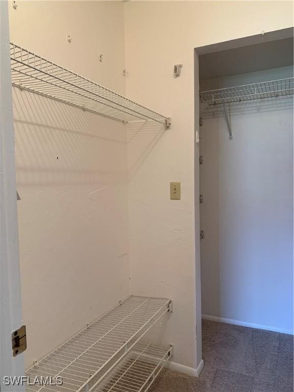 spacious closet with carpet