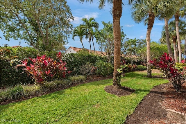 view of yard