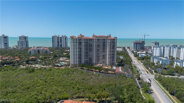 8787 Bay Colony Dr Unit 803, Naples, FL 34108 - view of urban area featuring a large body of water