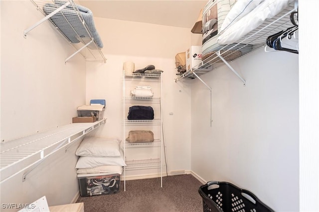 14500 Daffodil Dr Unit 1102, Fort Myers, FL 33919 - spacious closet with carpet floors