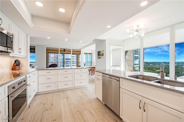 kitchen featuring light stone countertops, a healthy amount of sunlight, appliances with stainless steel finishes, and a sink