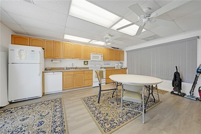 kitchen with light wood-style floors, a sink, white appliances, and a paneled ceiling