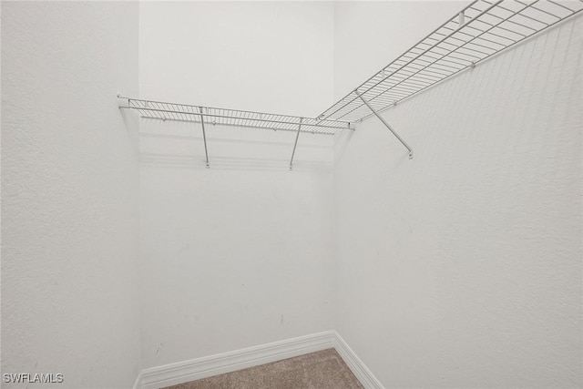 11643 Riverstone Ln, Fort Myers, FL 33913 - spacious closet with carpet floors